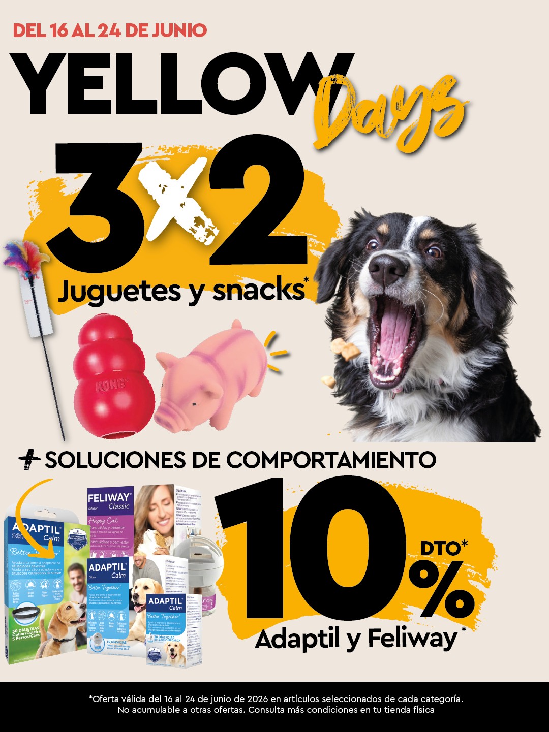 Oferta 