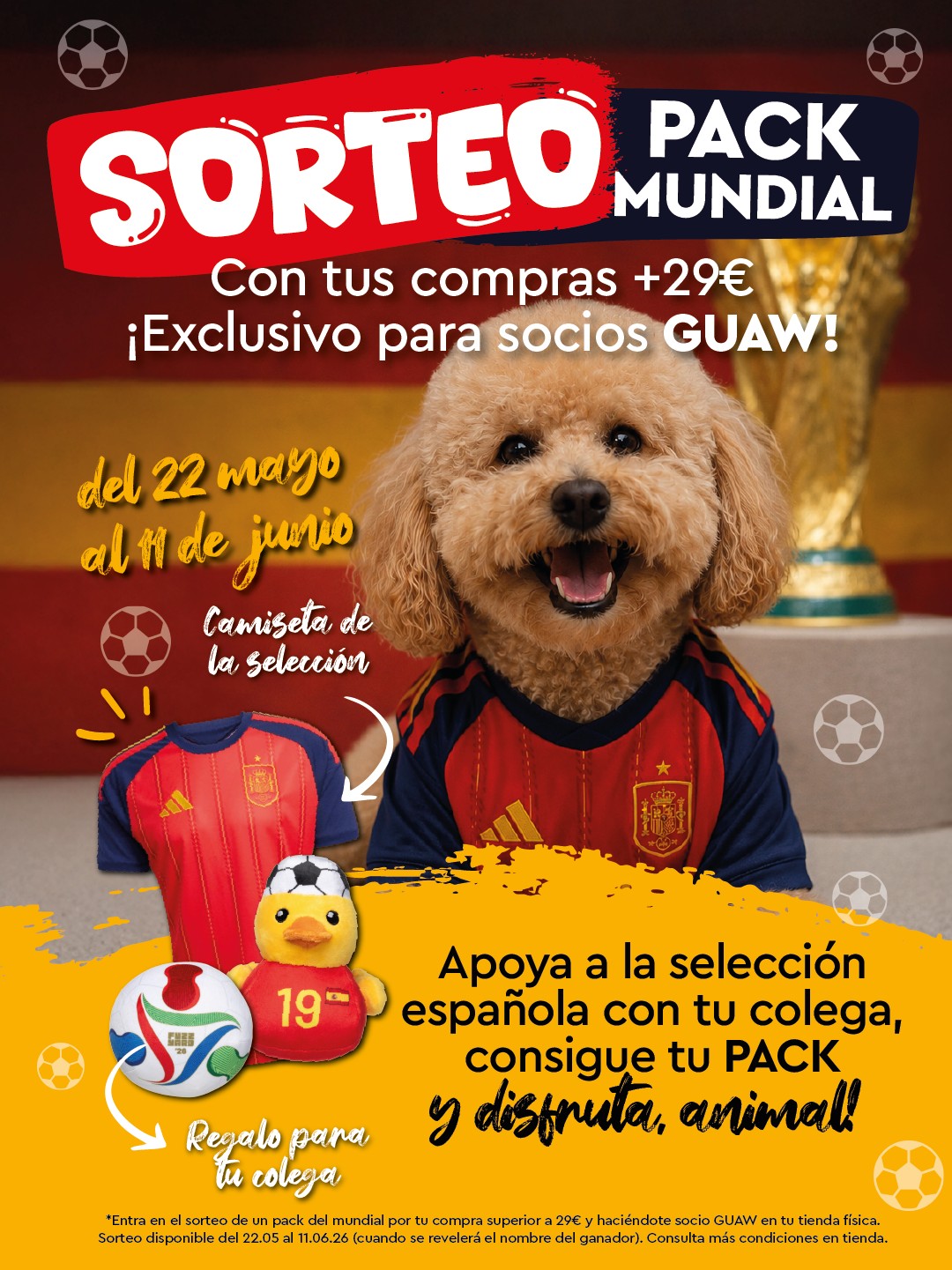Oferta 
